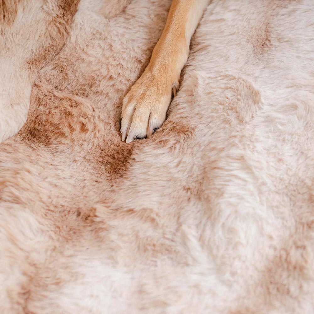 Fluffy Cosy Calming Pet Blanket Car Seat Protector Cover - Sure step