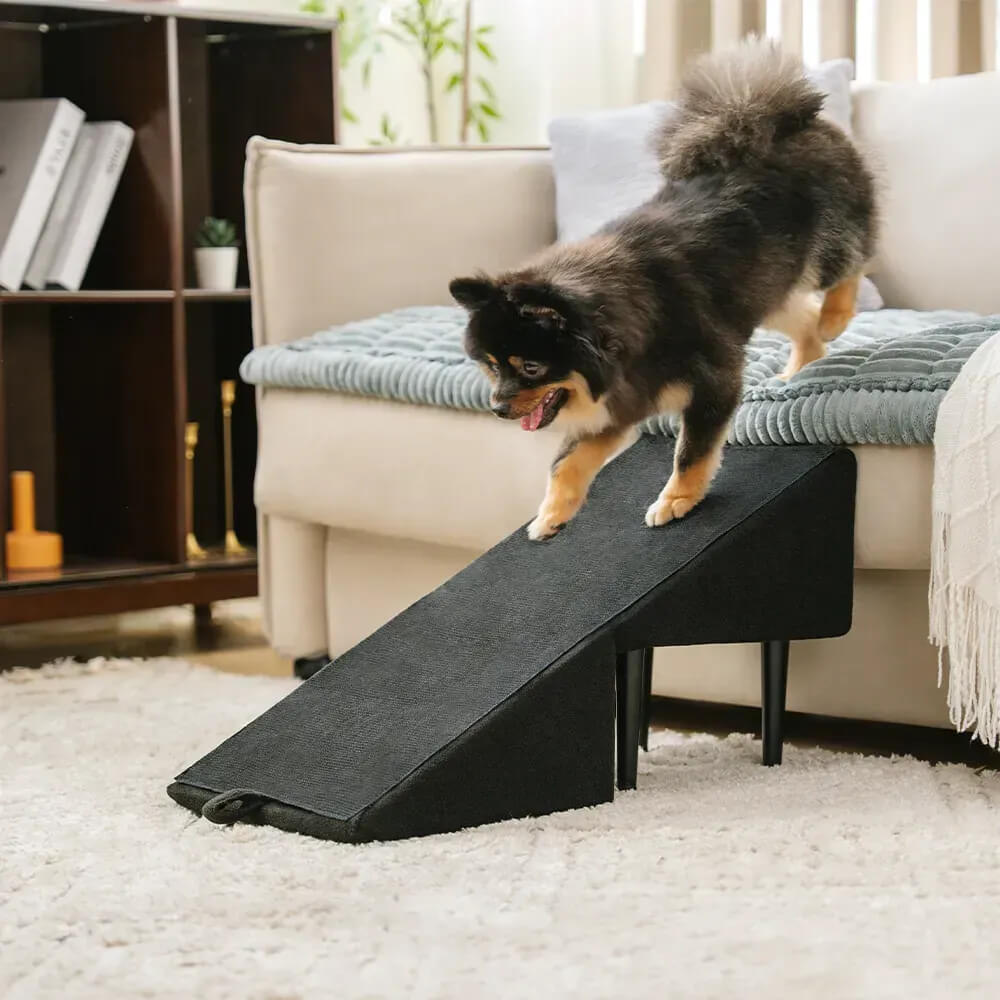 2-in-1 Convertible Wooden Home Step Stool Dog Ramp Steps