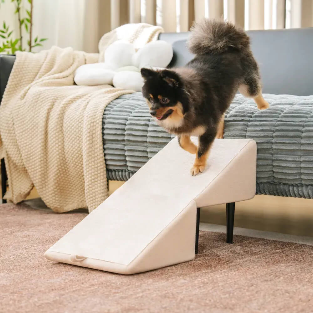 2-in-1 Convertible Wooden Home Step Stool Dog Ramp Steps