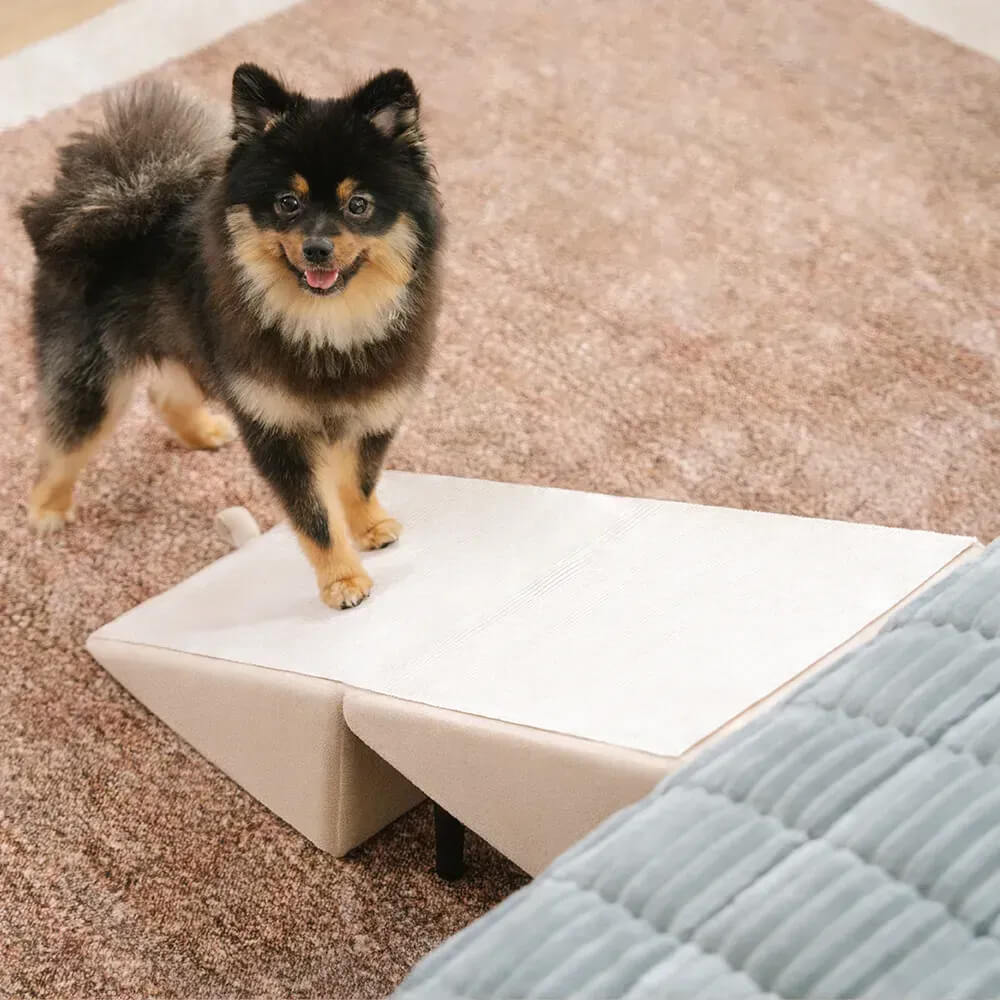 2-in-1 Convertible Wooden Home Step Stool Dog Ramp Steps