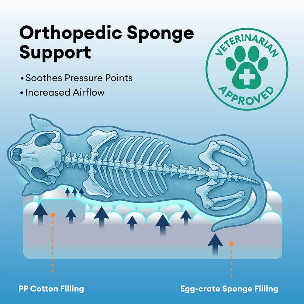 Anti-Anxiety with Sponge Support Deep Sleeping Dog Bed