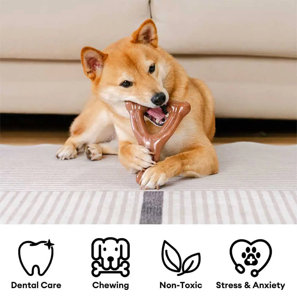 Bacon Flavoured Durable Teething Bones Dog Chew Toy