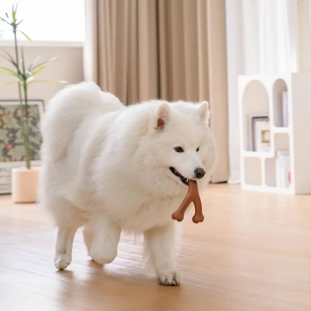 Bacon Flavoured Durable Teething Bones Dog Chew Toy