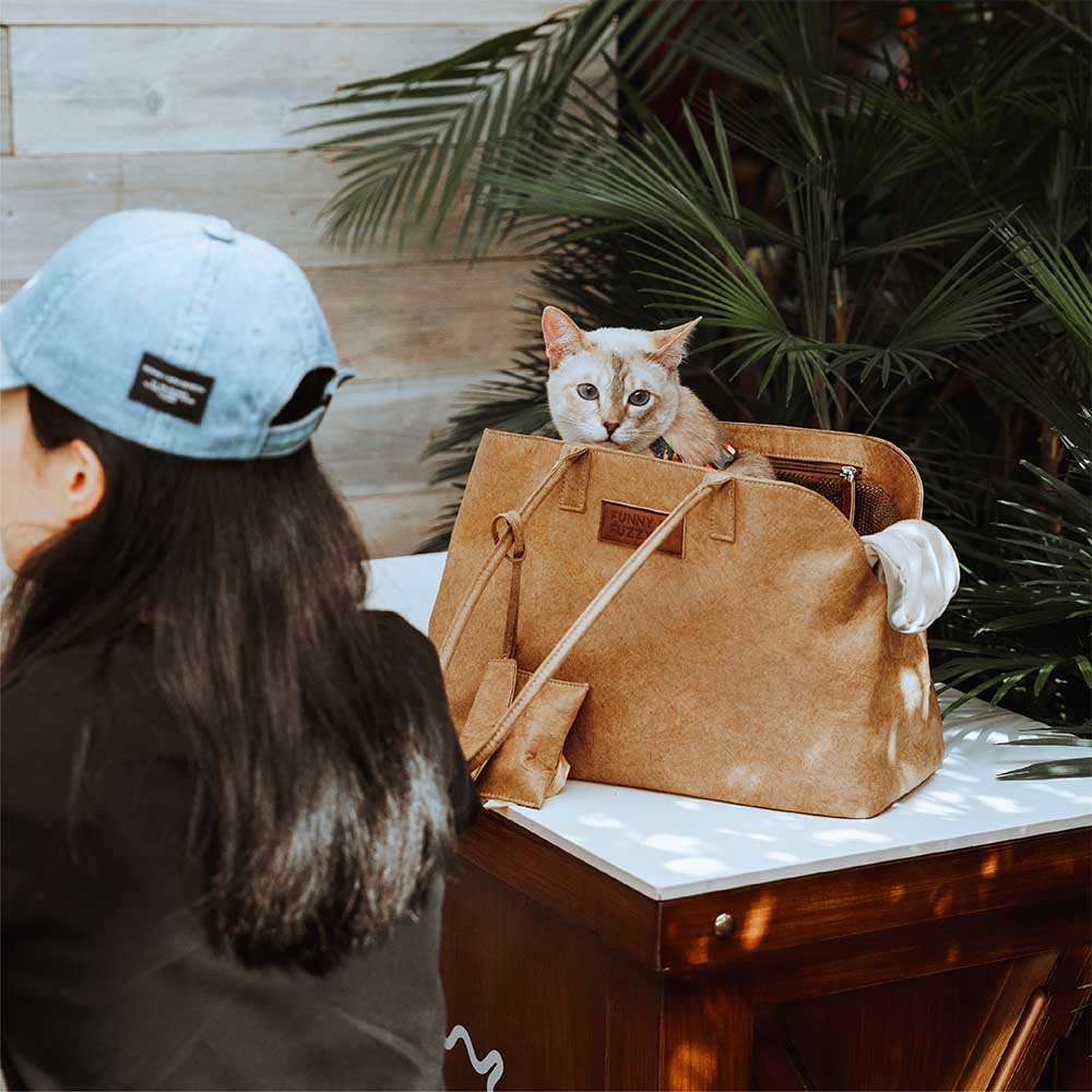 Vogue Eco-friendly Dupont Waterproof Pet Carrier - City Roamer