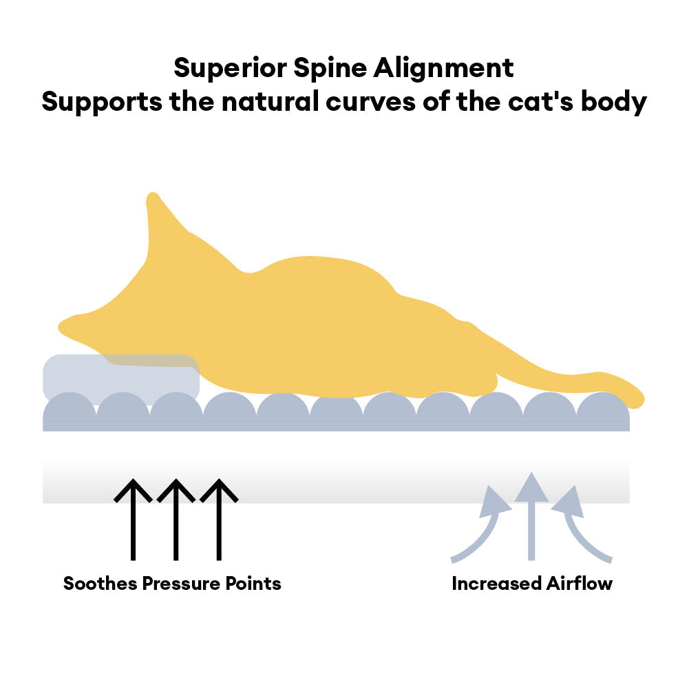 Classic Plaid Orthopaedic Bolster Cat Sofa Bed - Cosy Comfort