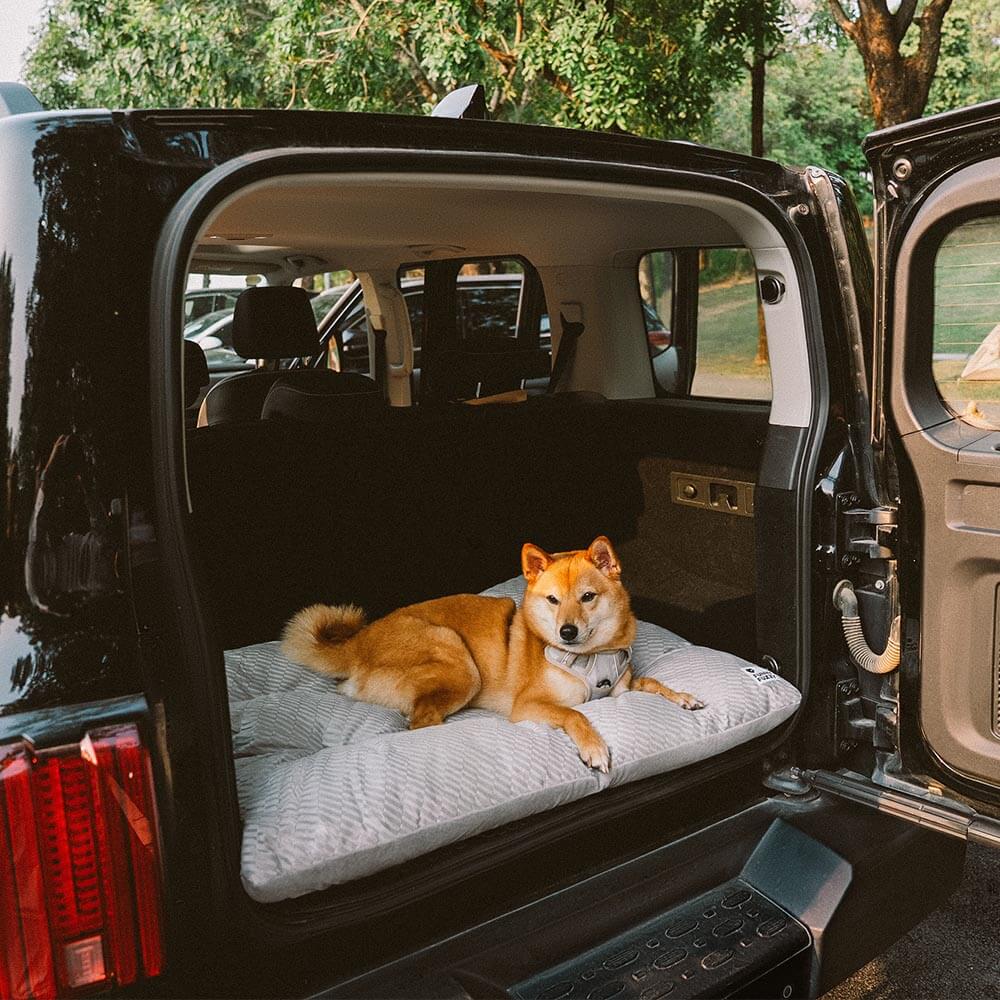 Dual-Sided Cosy Plush Washable Calming Dog Mat