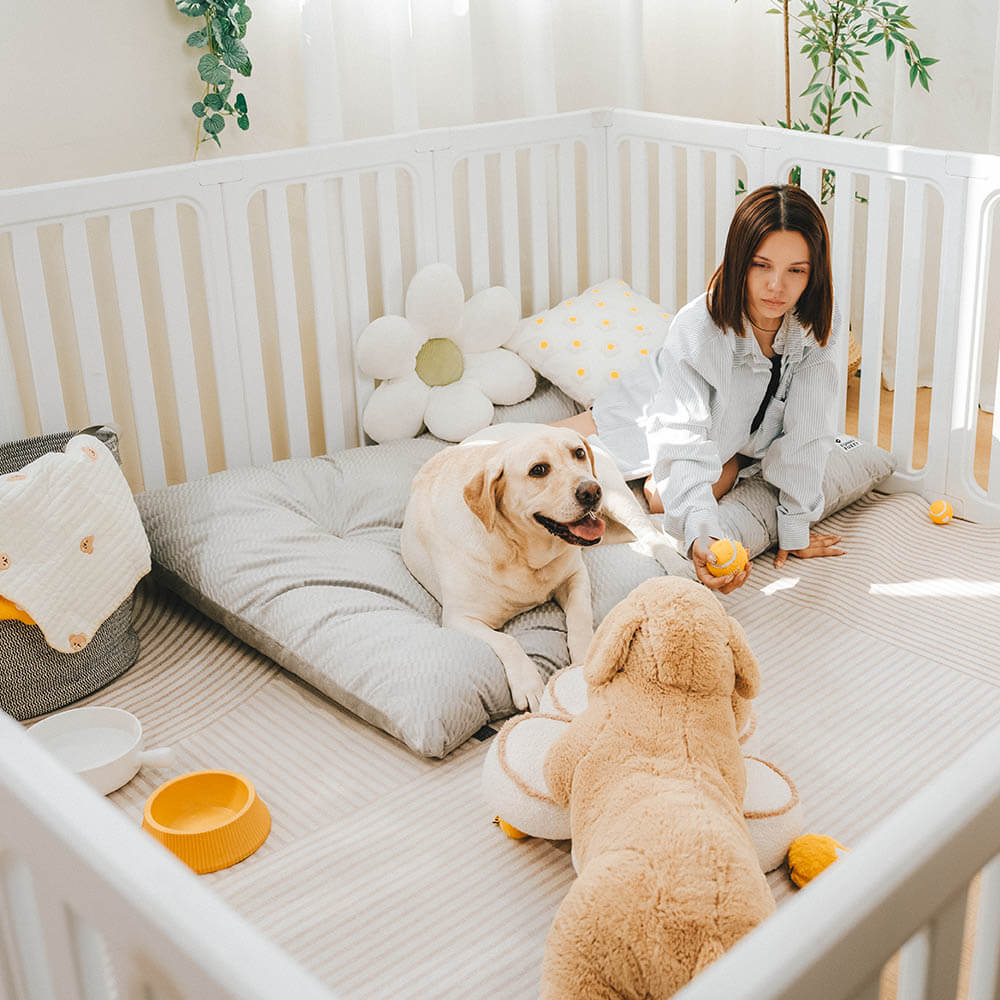 Dual-Sided Cosy Plush Washable Calming Dog Mat