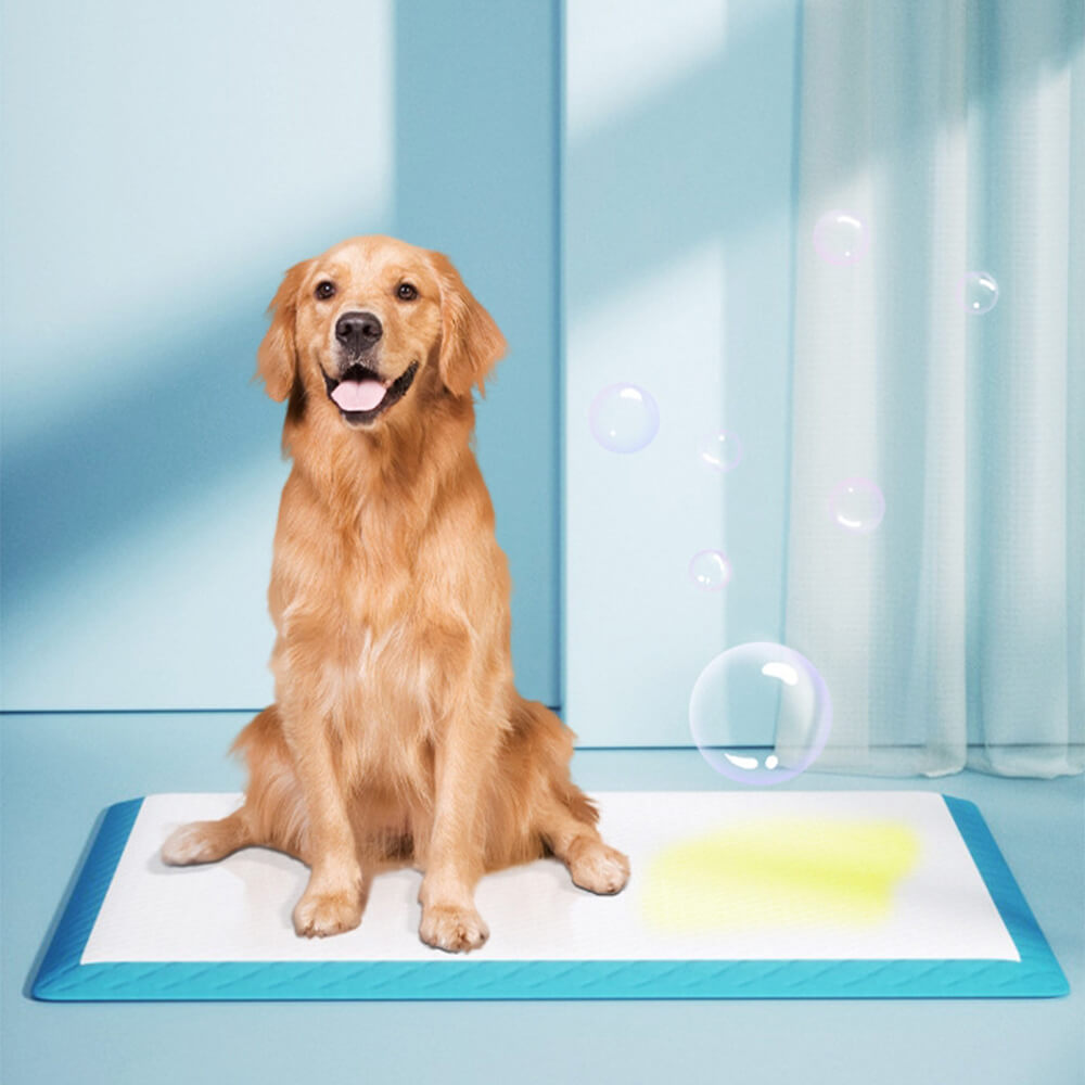 Disposable Pet Pads Absorbent & Leak-Proof Dog Pee Training Pad