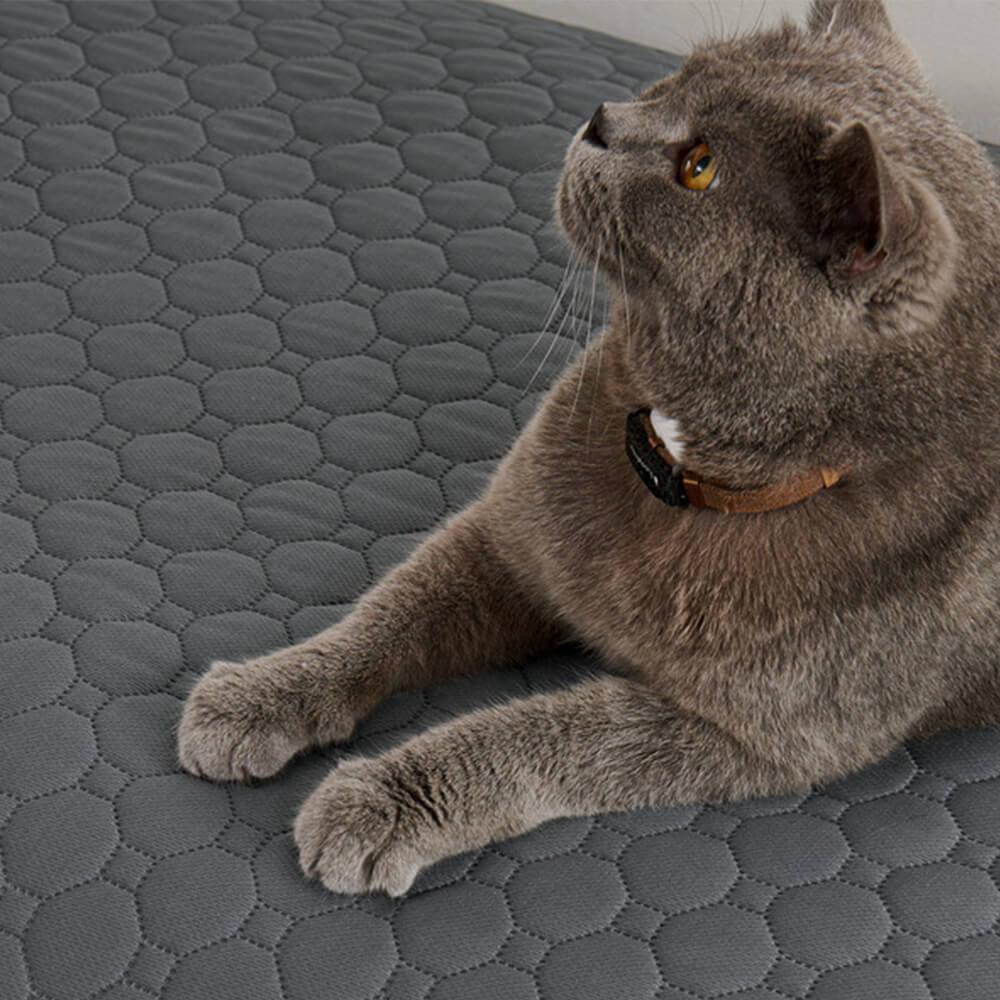 Multi-Purpose Absorbent Leakproof Washable Pet Mat for Sofa and Bed
