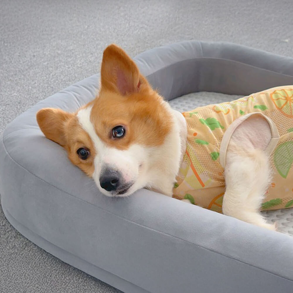 Soft Cooling Reversible Washable All-Season Oval Dog Bed
