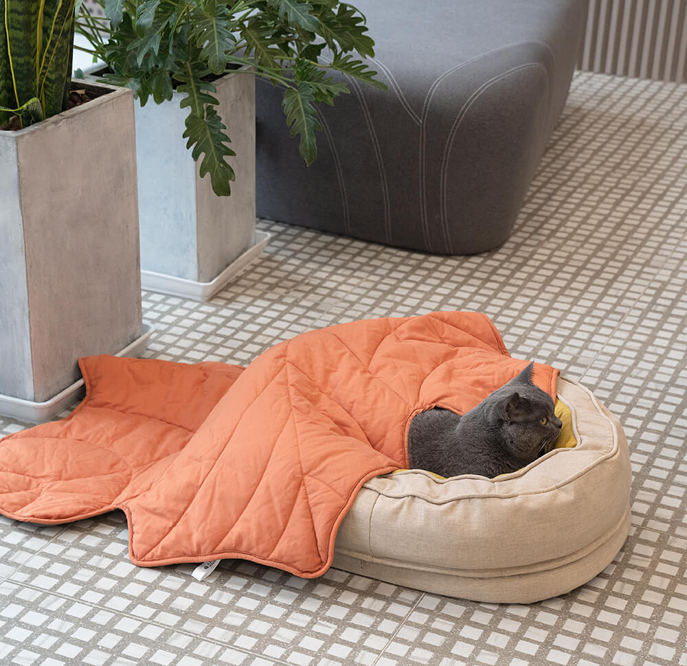 Calming Leaf Shape Dog Blanket With Donut Dog Bed