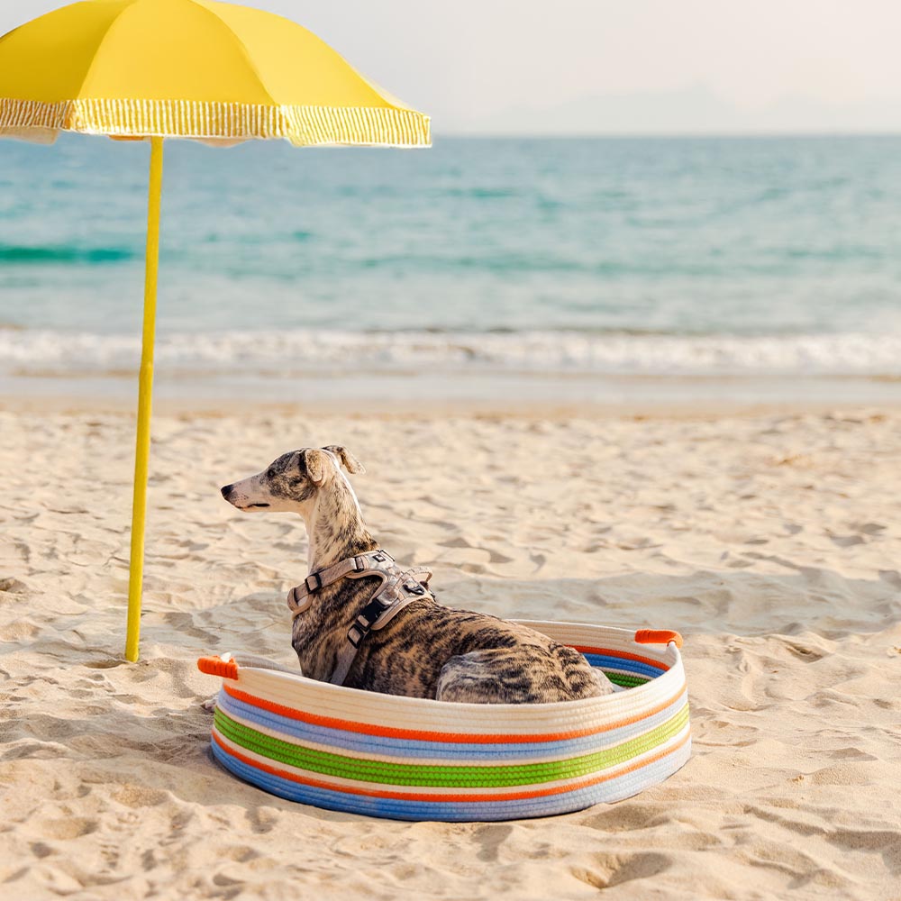 Handcrafted Stripe Calming Pet Bed - Timeless Nest