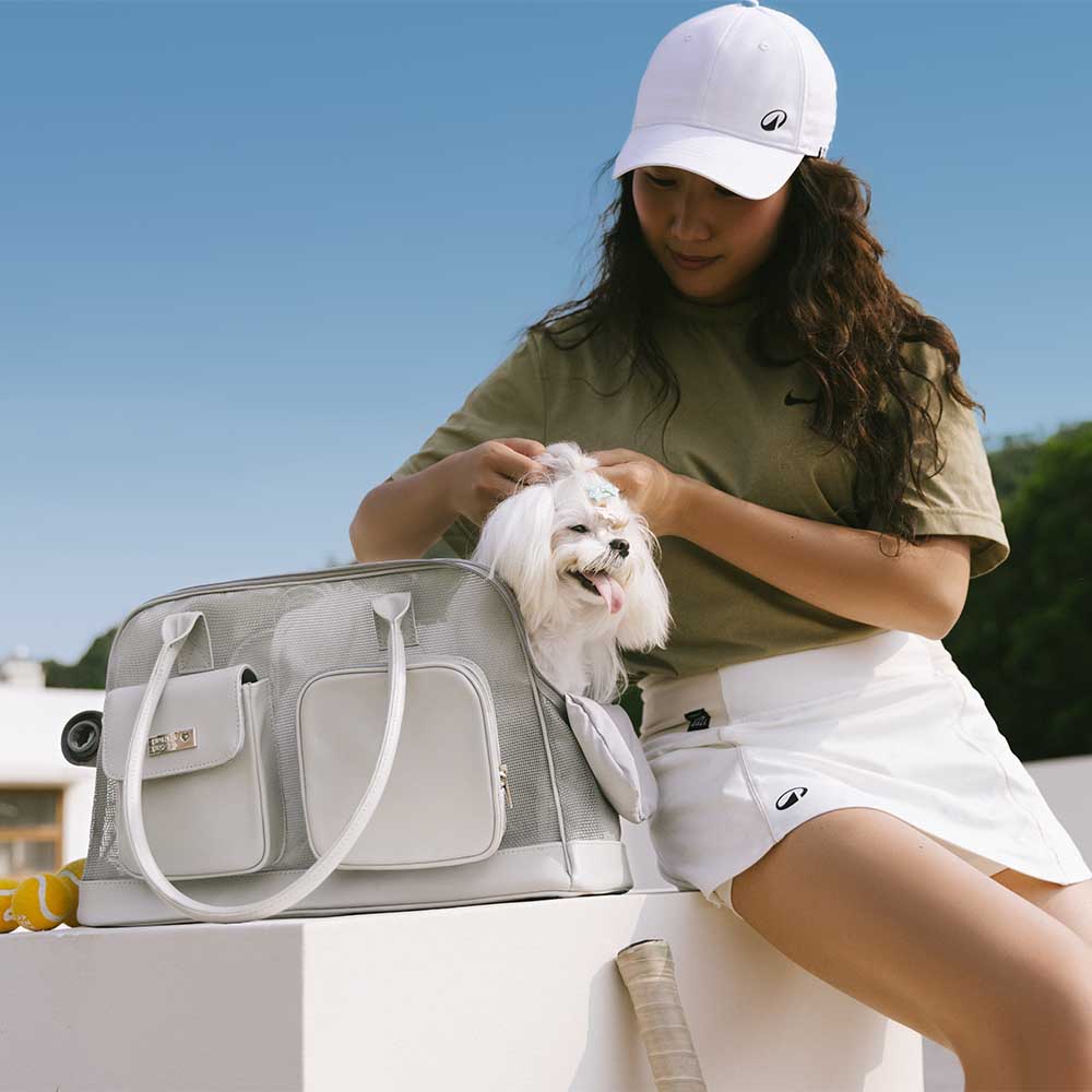 Lightweight Breathable Mesh Safe Pet Carrier - Urban Ease