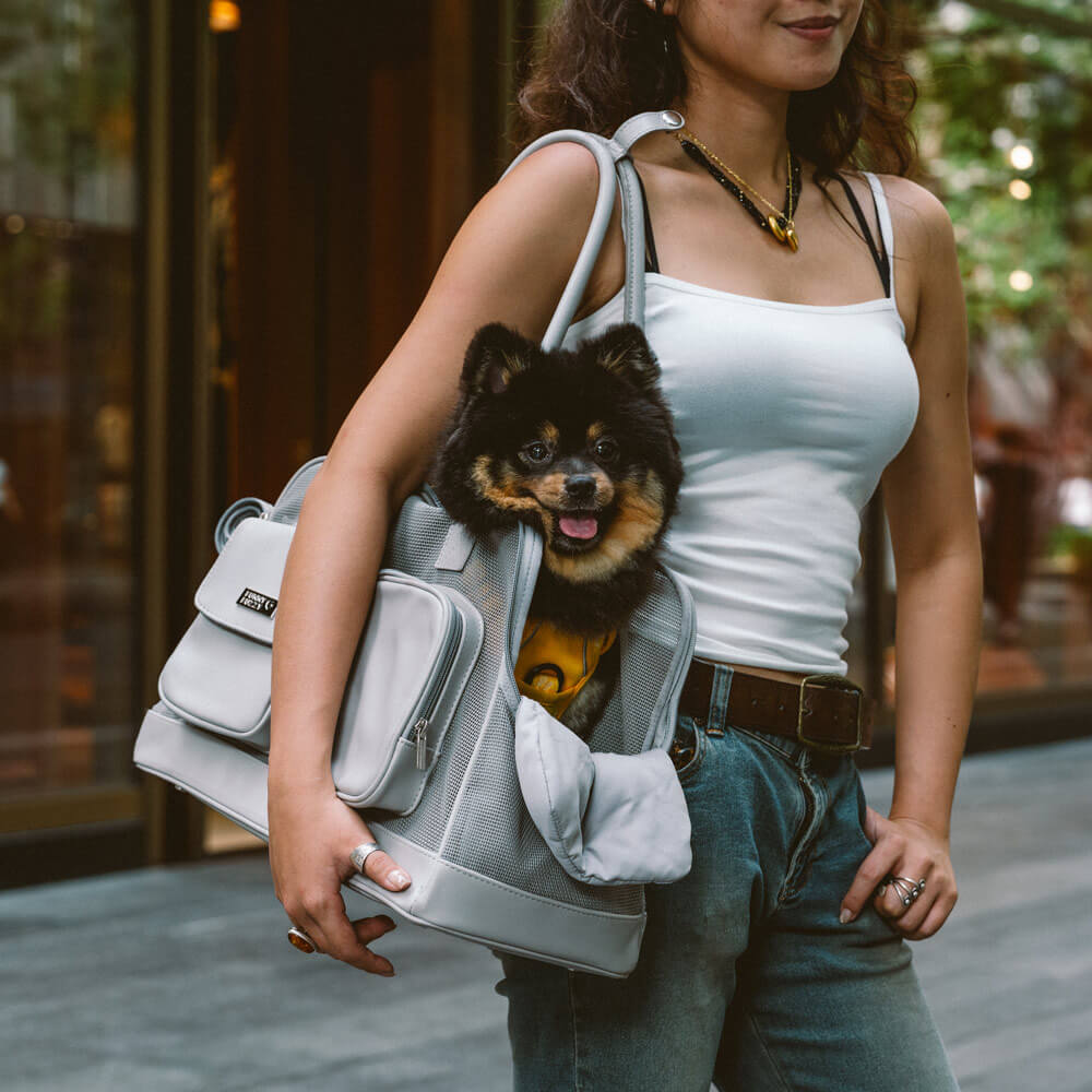 Lightweight Breathable Mesh Safe Pet Carrier - Urban Ease