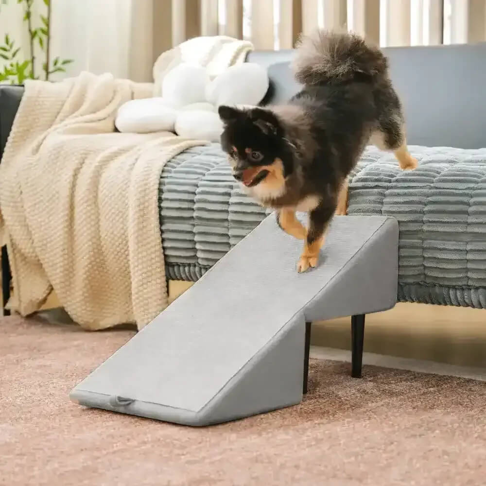 2-in-1 Convertible Wooden Home Step Stool Dog Ramp Steps