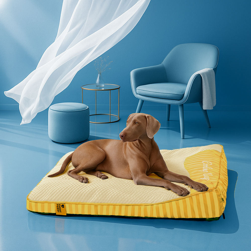 Extra Large Cooling Washable Rectangle Orthopaedic Dog Bed - Cooling Nap