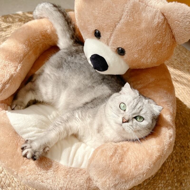 Cute Detachable Cuddle Bear Dog & Cat Bed