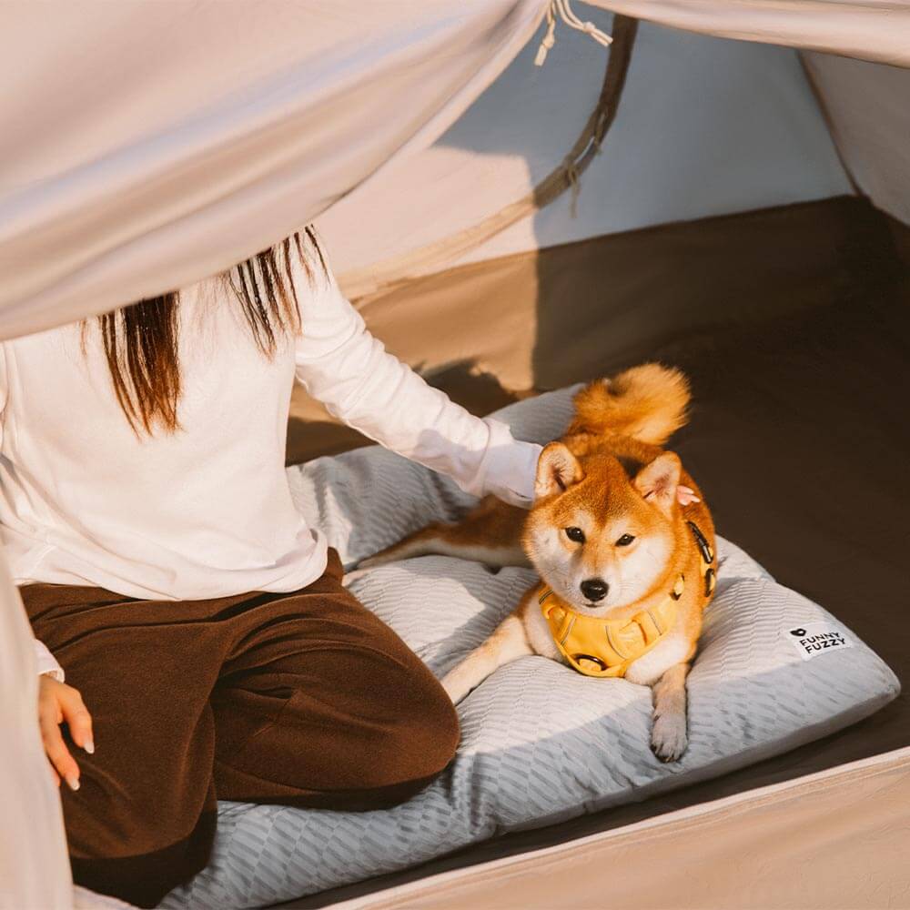 Dual-Sided Cosy Plush Washable Calming Dog Mat