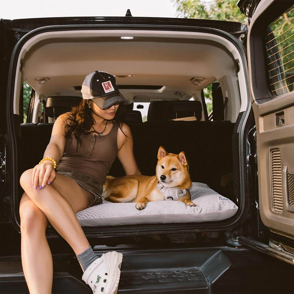 Dual-Sided Cosy Plush Washable Calming Dog Mat