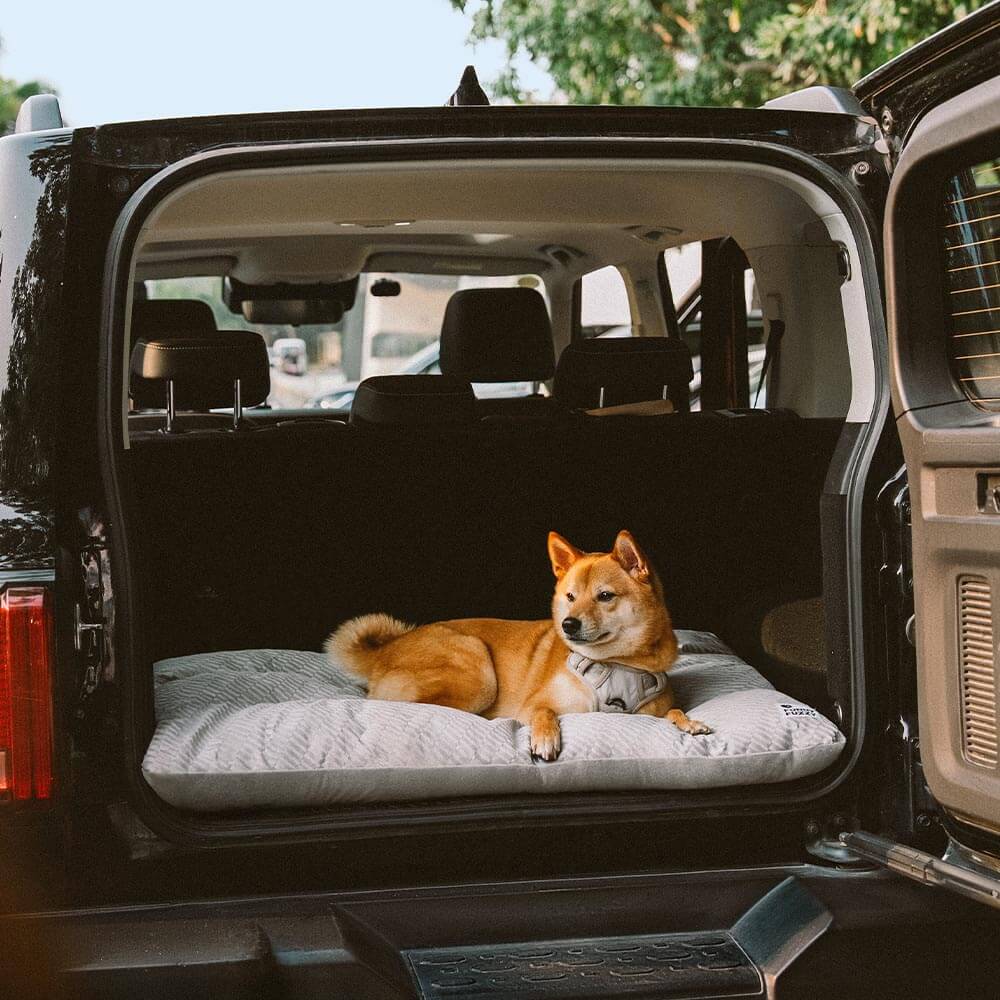 Dual-Sided Cosy Plush Washable Calming Dog Mat