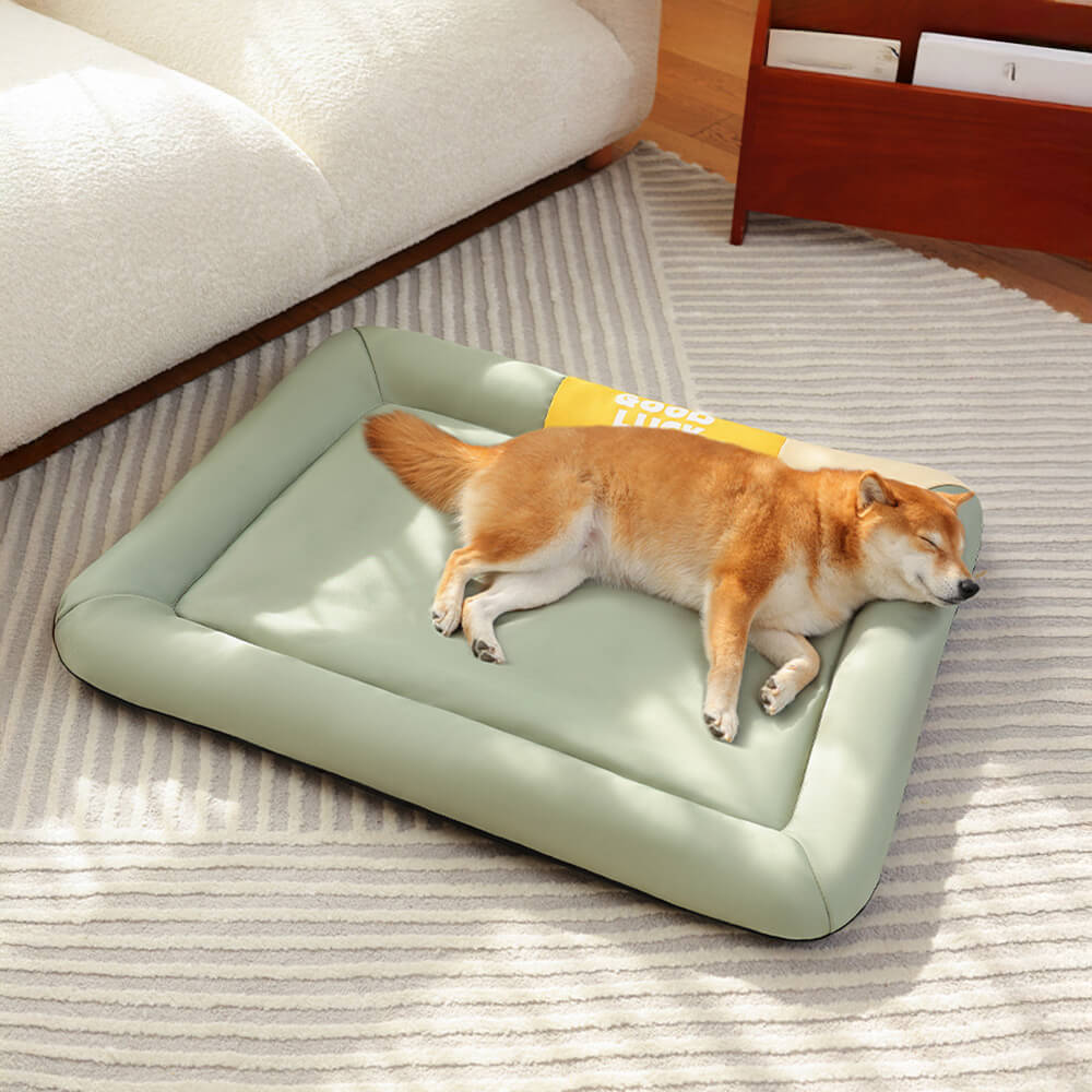 Colourblock Waterproof Scratch-Resistant All-Season Dog Mat