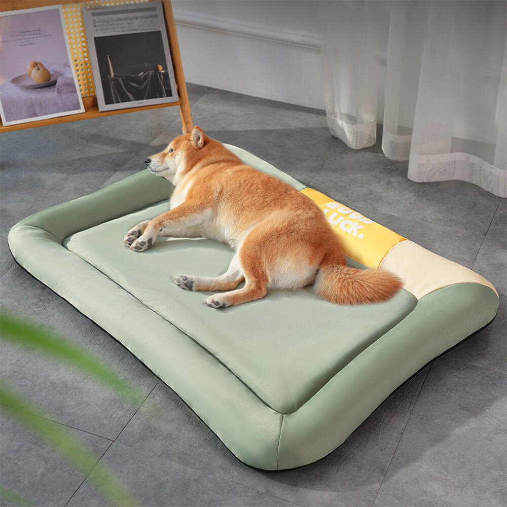 Colourblock Waterproof Scratch-Resistant All-Season Dog Mat