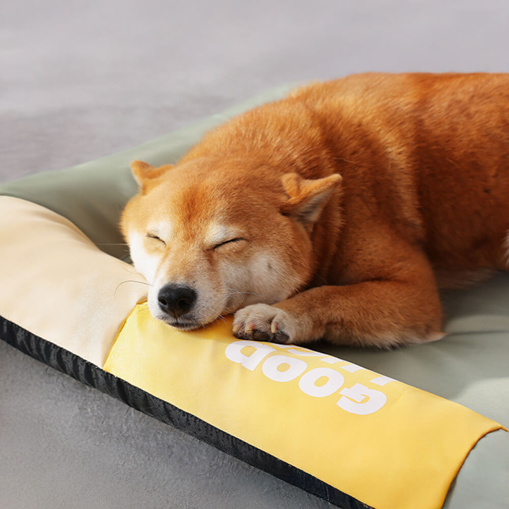 Colourblock Waterproof Scratch-Resistant All-Season Dog Mat