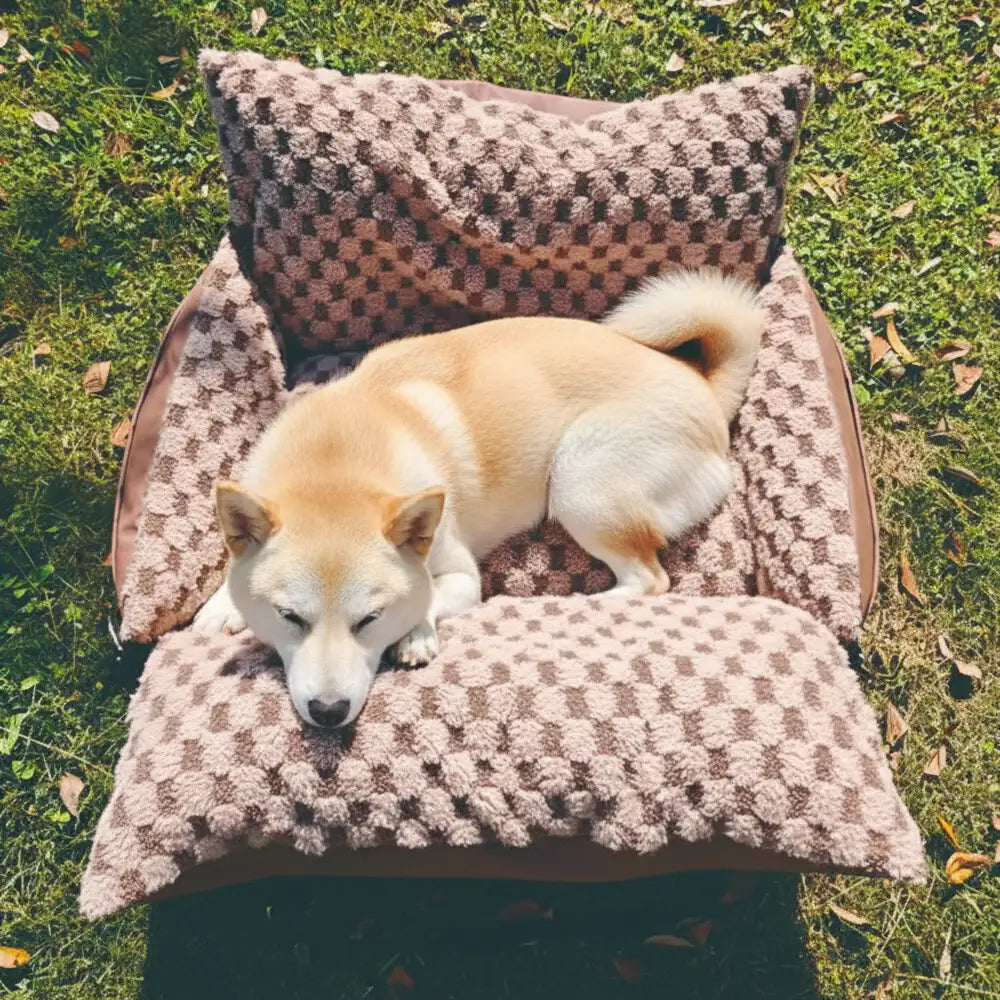 Chequerboard Faux Leather Safety Centre Console Pet Car Seat and Carrier 2-in-1