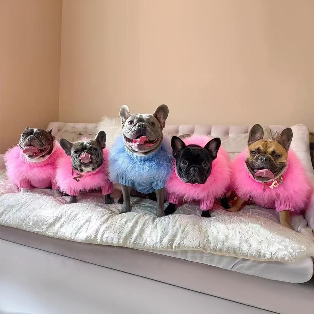 Soft Fluffy Fashion Luxurious Dog Clothes Turtleneck Knit Jumper