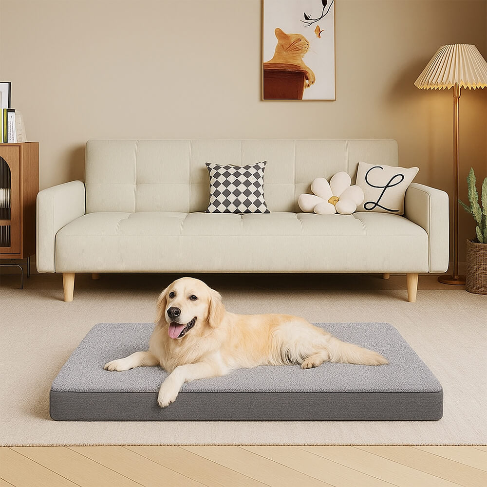Waterproof Orthopaedic Removable Memory Foam Large Dog Bed
