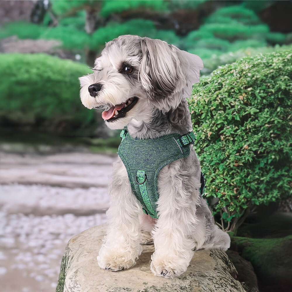 Eco-friendly Recycled Fabric No-Pull Dog Harness/Lead