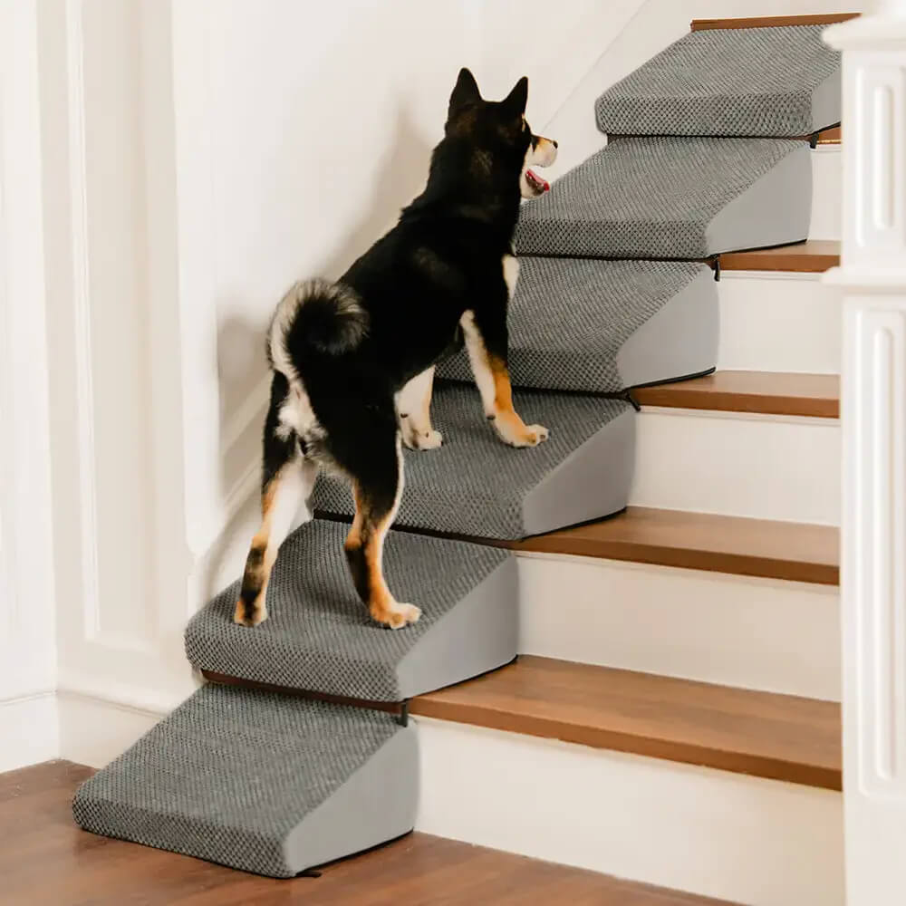 Modular Foam Dog Ramp Steps for Staircase Stairs with Velcro