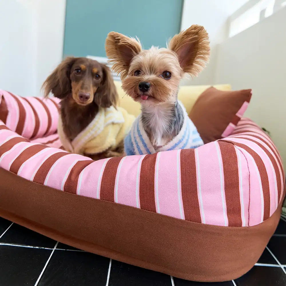 Trendy Striped Cosy Orthopaedic Dog Sofa Bed - Snug Couch
